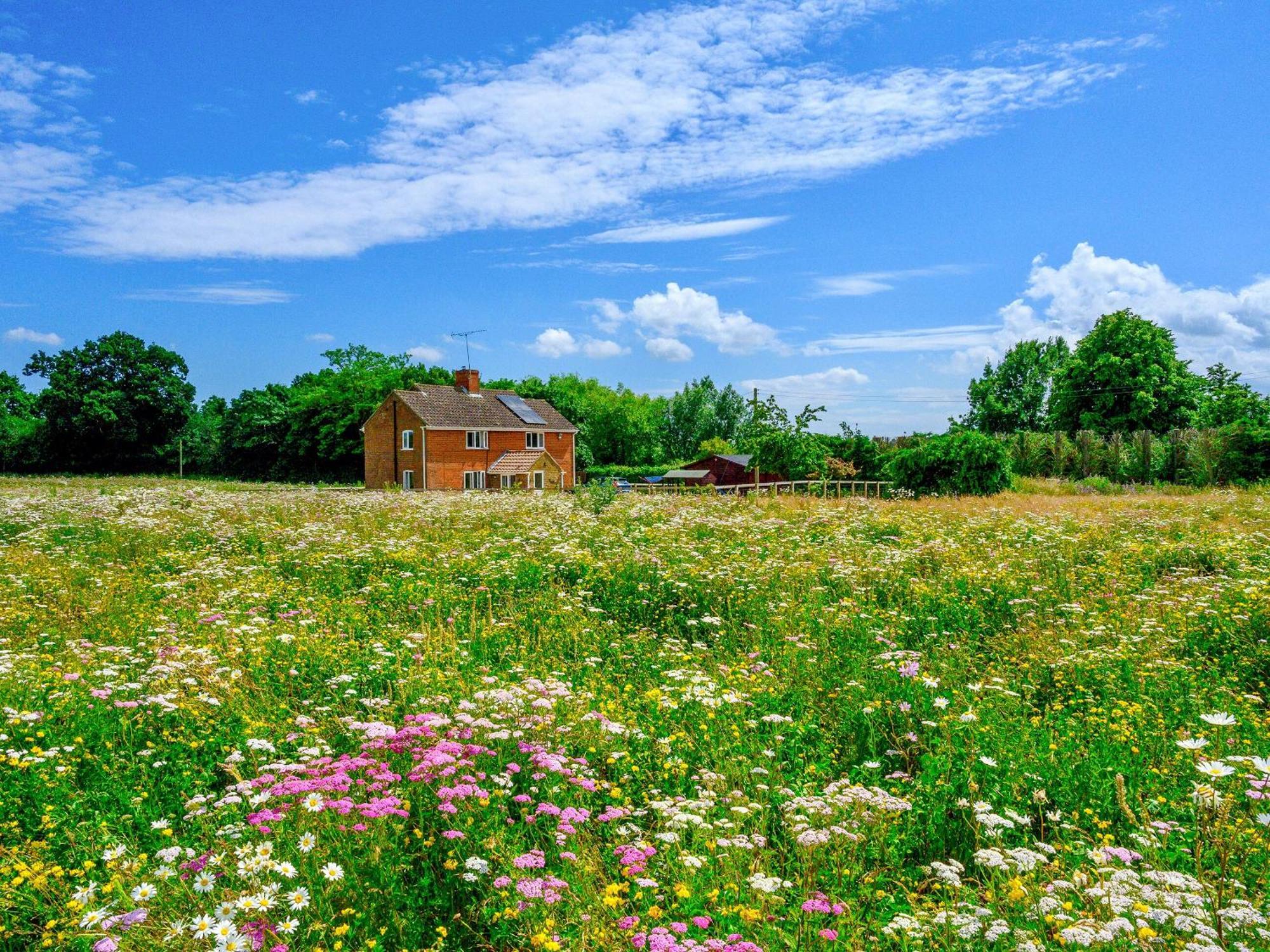 Old Alton Hall Farmhouse Tattingstone Екстериор снимка